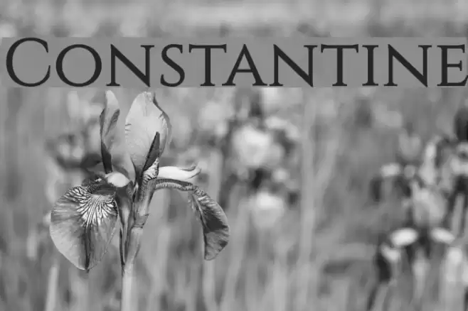Constantine Font examples