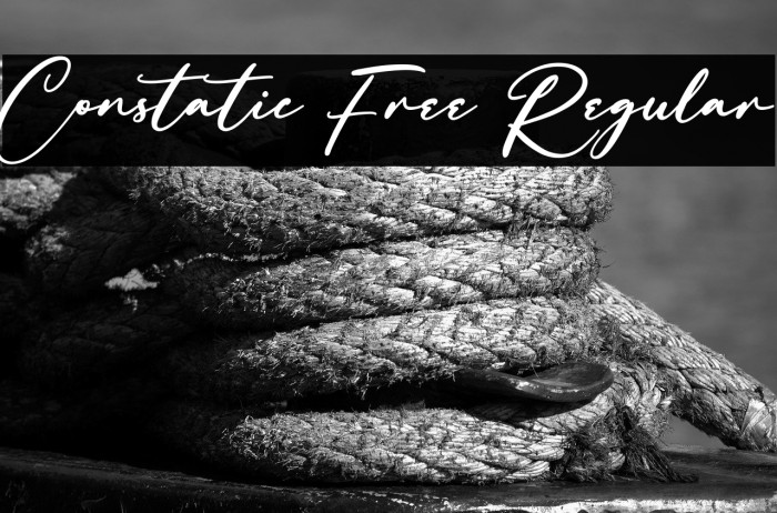 Constatic Free Regular Example 1