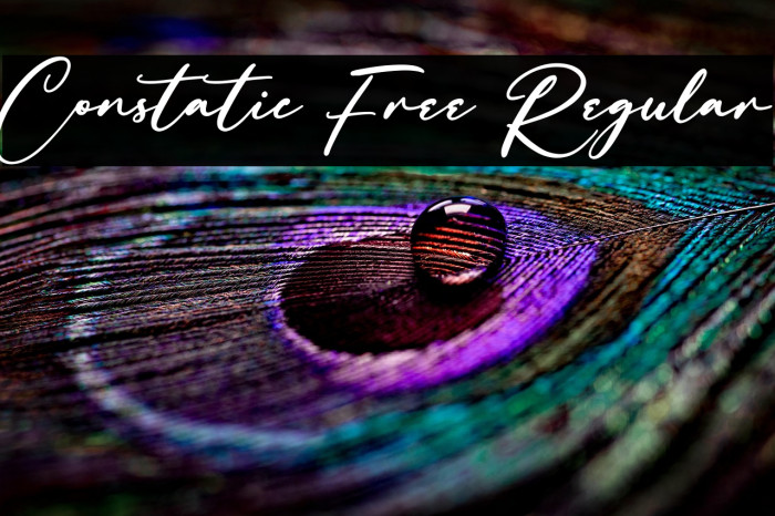 Constatic Free Regular Example 2