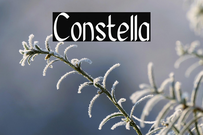Constella Example 1