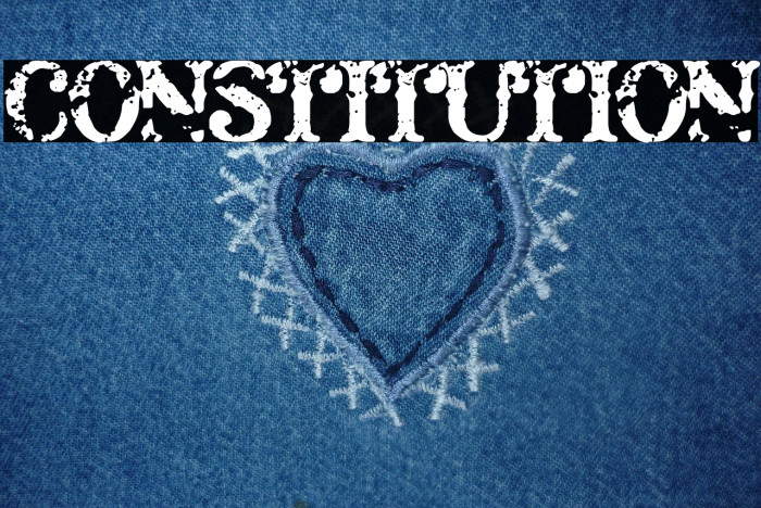 Constitution Example 2