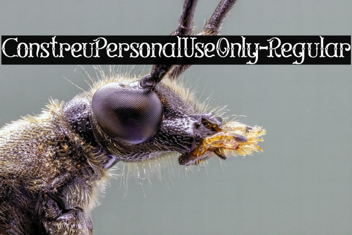 ConstreuPersonalUseOnly-Regular Example 3