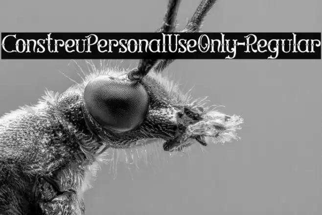 ConstreuPersonalUseOnly-Regular Font examples
