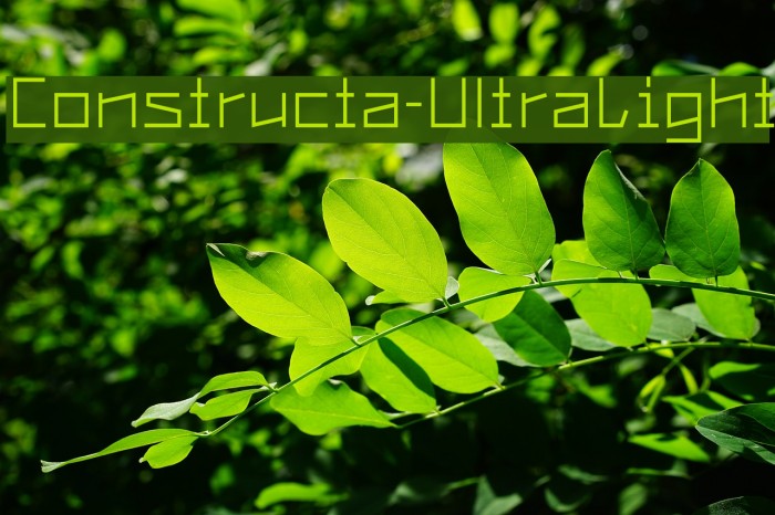 Constructa-UltraLight Font examples