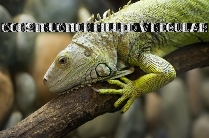 Construction Filled V1 Regular Example 3