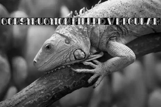 Construction Filled V1 Regular Font examples