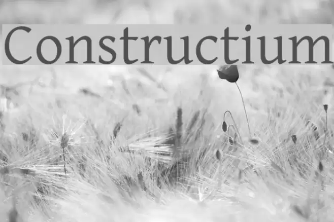 Constructium Font examples