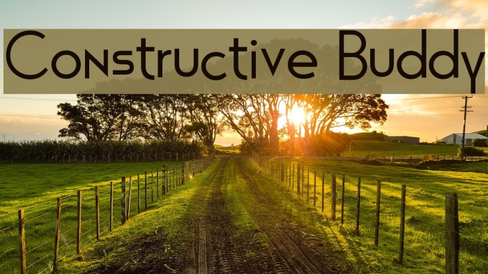 Constructive Buddy Font examples