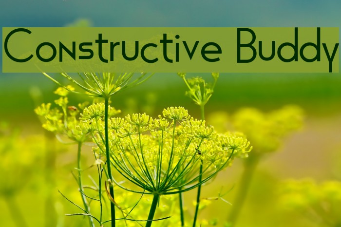 Constructive Buddy Font examples