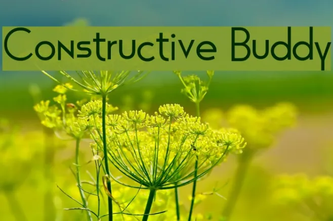 Constructive Buddy Example 3