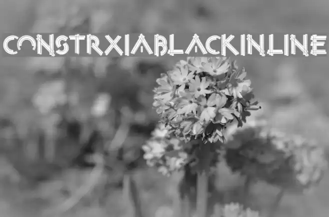 ConstrxiaBlackInline Font examples