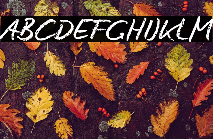 Conté Script reduced Example 1