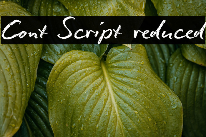Conté Script reduced Example 1