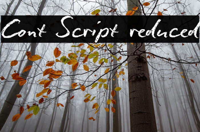 Conté Script reduced Example 2