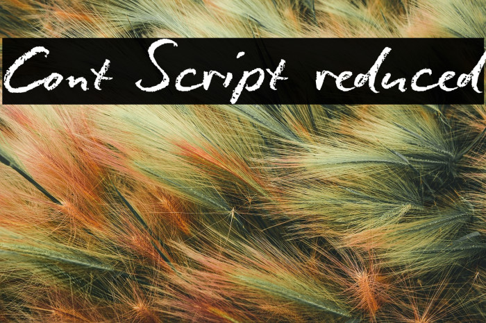 Conté Script reduced Example 3