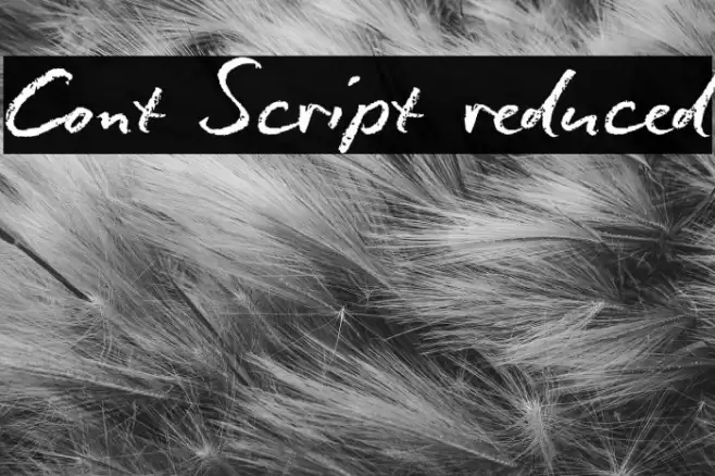 Conté Script reduced Font examples