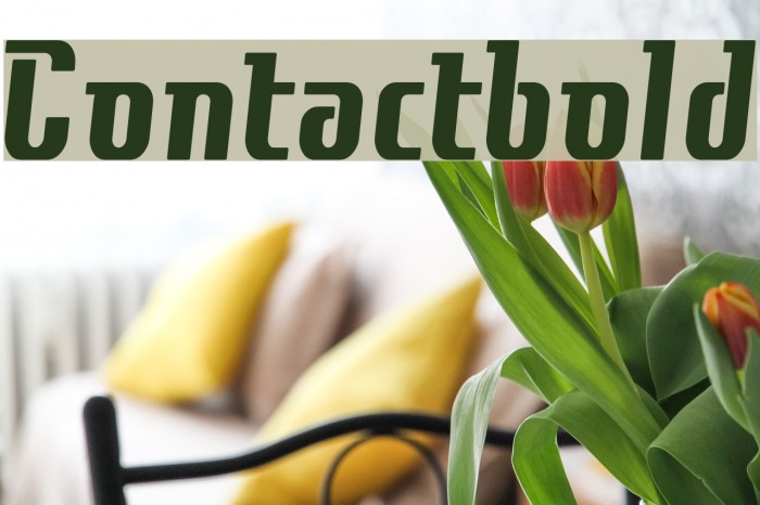 Contactbold Font examples