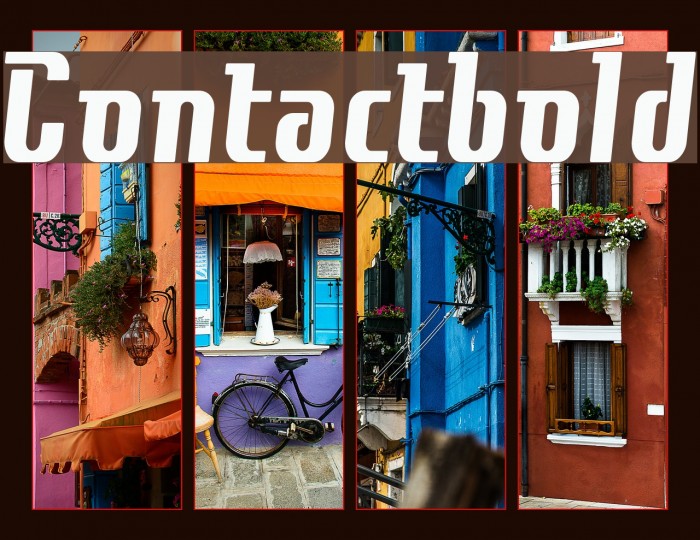 Contactbold Font examples