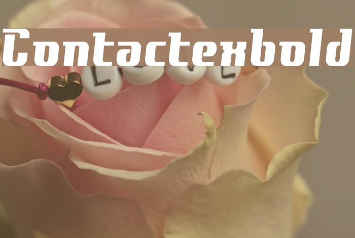 Contactexbold Font examples