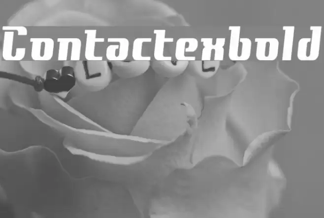 Contactexbold フォント examples
