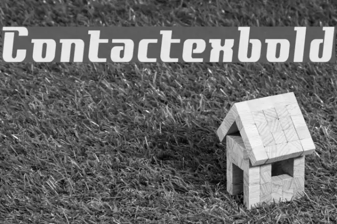 Contactexbold フォント examples