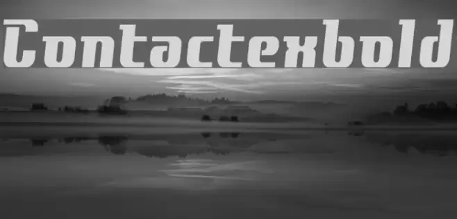Contactexbold フォント examples