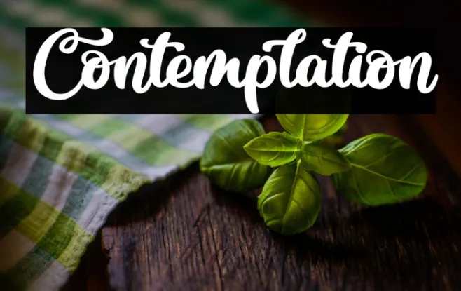 Contemplation Example 3