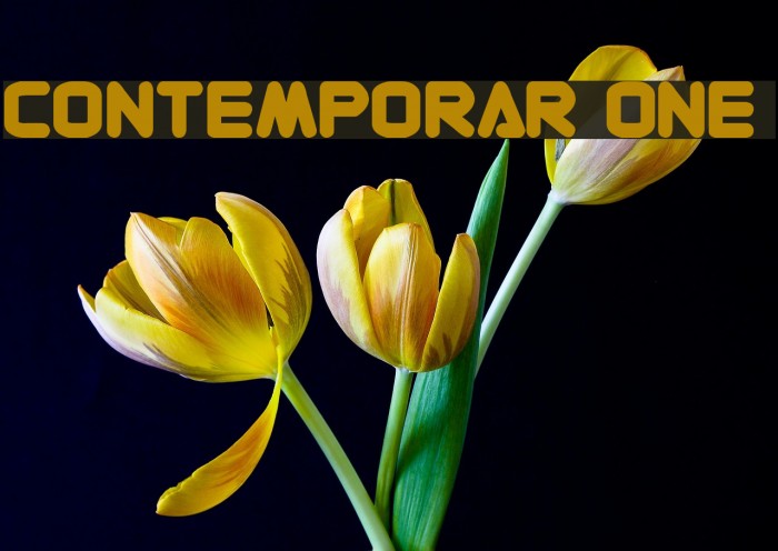 Contemporary ONE Font examples