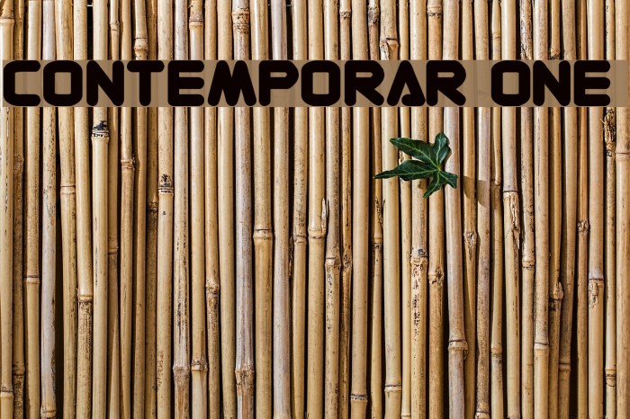 Contemporary ONE Font examples