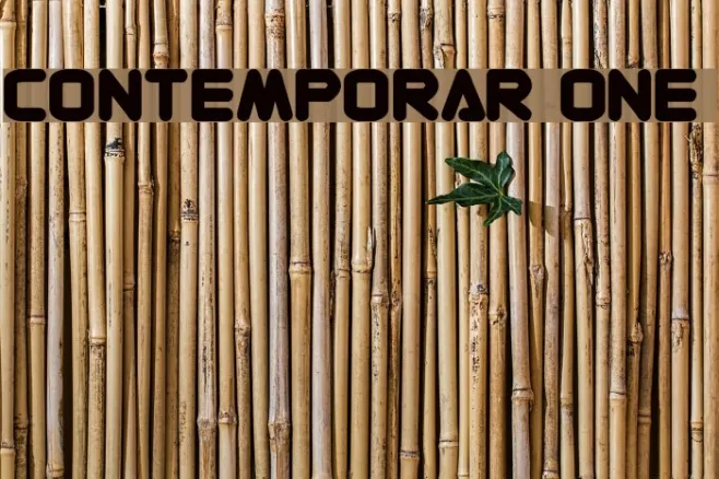 Contemporary ONE Example 3