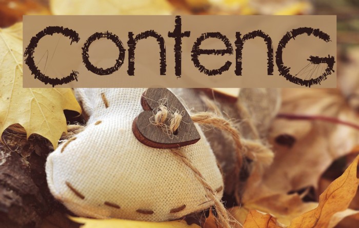 ContenG Font examples
