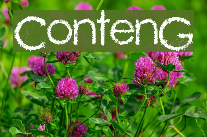 ContenG Font examples