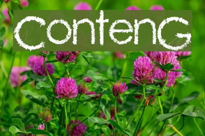 ContenG Example 2