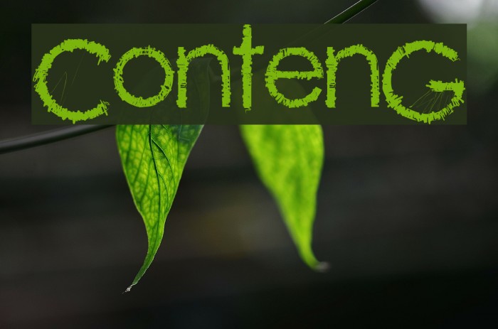 ContenG Font examples