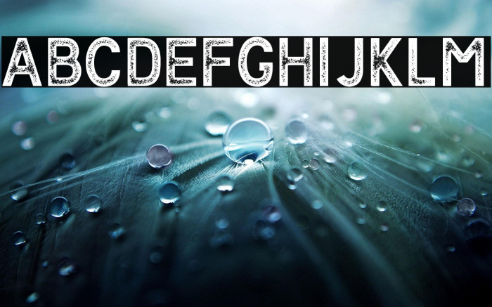 ContenderFreeVersion Example 1