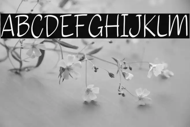 Content Cartoon 字体 examples