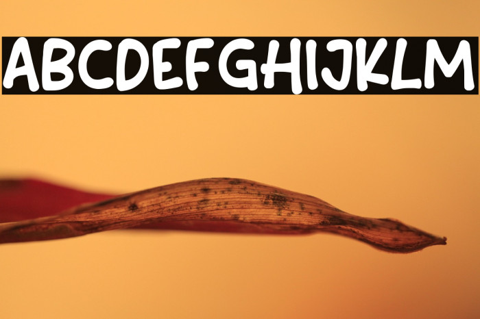 Content Creator Example 3