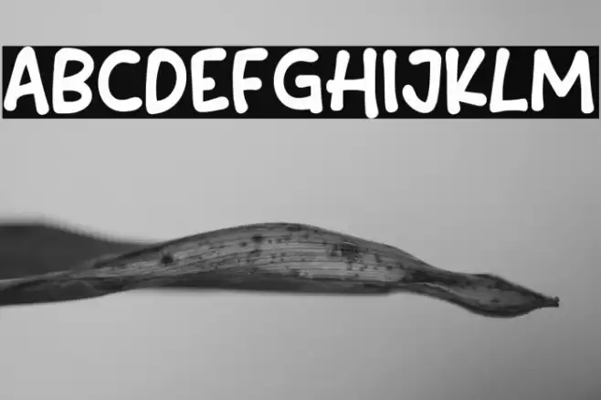 Content Creator Font examples