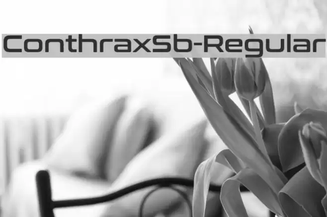 ConthraxSb-Regular Font examples