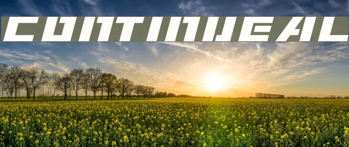 ContinueAL Example 2