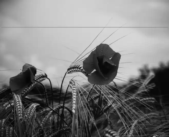 Continuous Caratteri examples