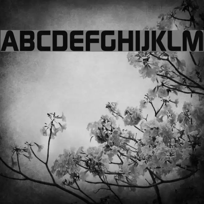 Continuum Bold Font examples