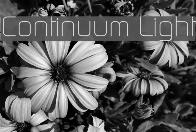 Continuum Light Font examples