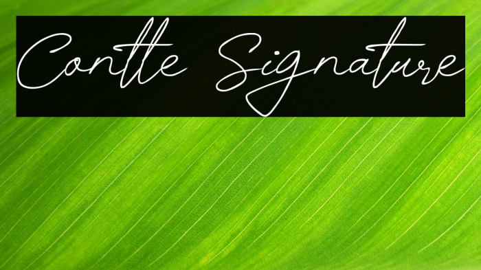 Contle Signature Example 1