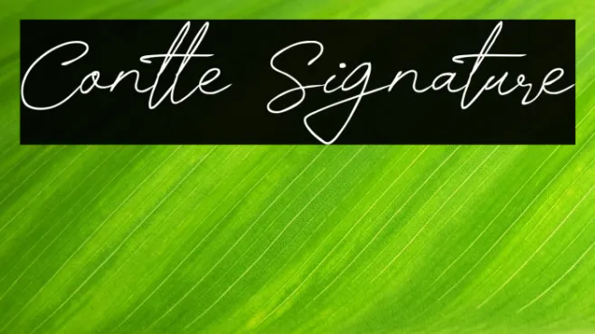 Contle Signature Example 1