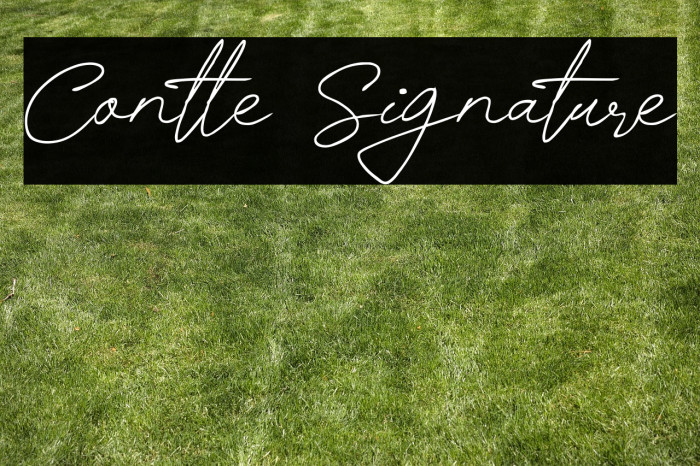 Contle Signature Example 2