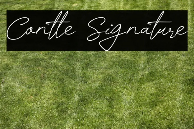 Contle Signature Example 2