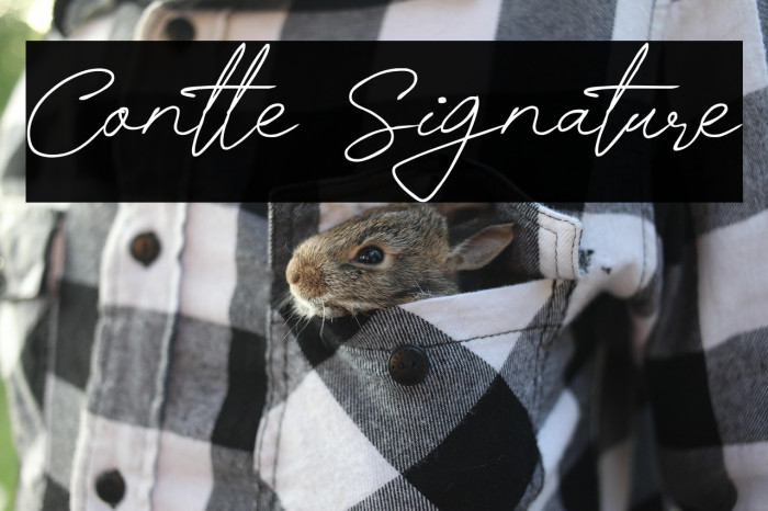 Contle Signature Example 3