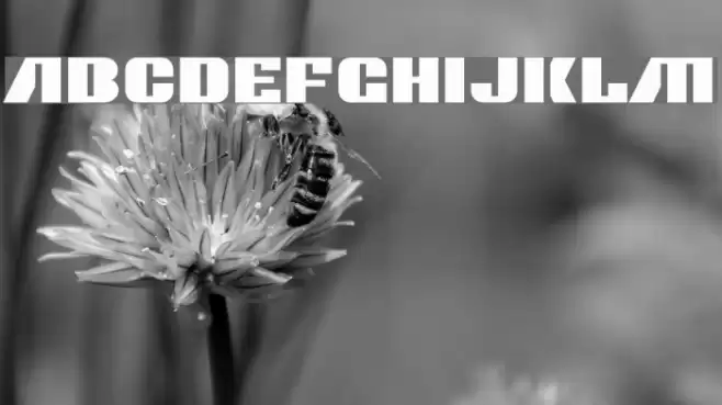 Contour Generator Font examples