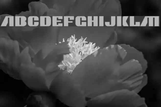 Contour Generator Font examples